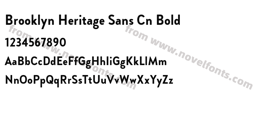 Brooklyn Heritage Sans Cn BoldPreview
