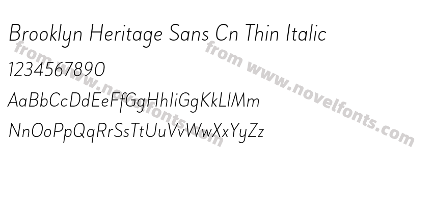 Brooklyn Heritage Sans Cn Thin ItalicPreview