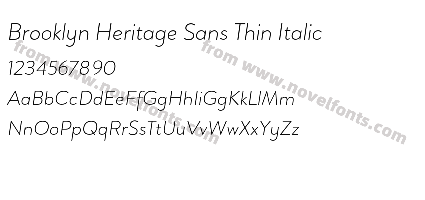 Brooklyn Heritage Sans Thin ItalicPreview