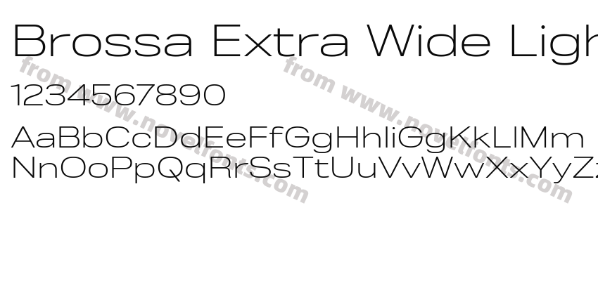 Brossa Extra Wide LightPreview