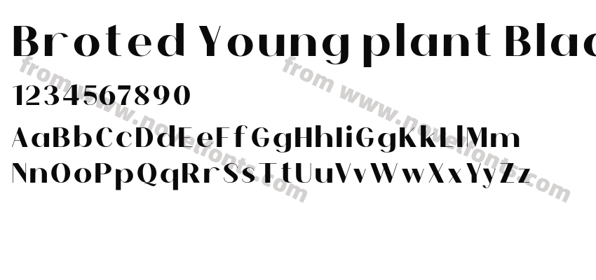 Broted Young plant BlackPreview
