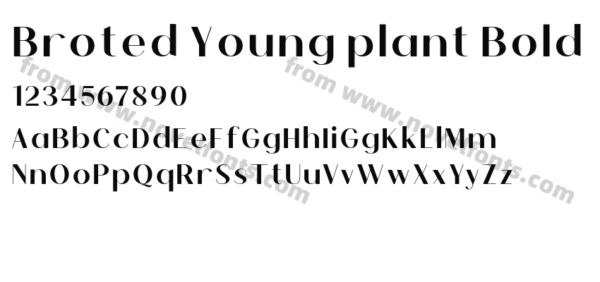 Broted Young plant BoldPreview