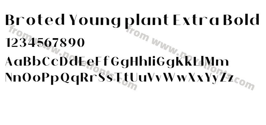 Broted Young plant Extra BoldPreview