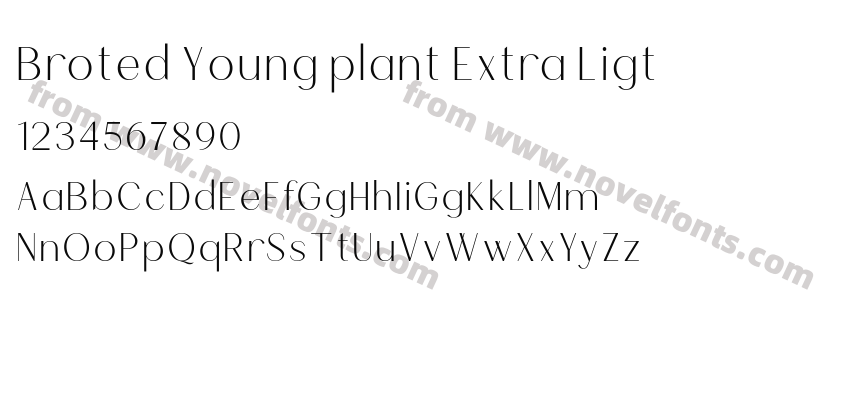 Broted Young plant Extra LigtPreview