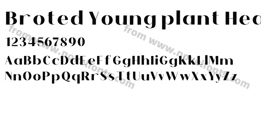 Broted Young plant HeavyPreview