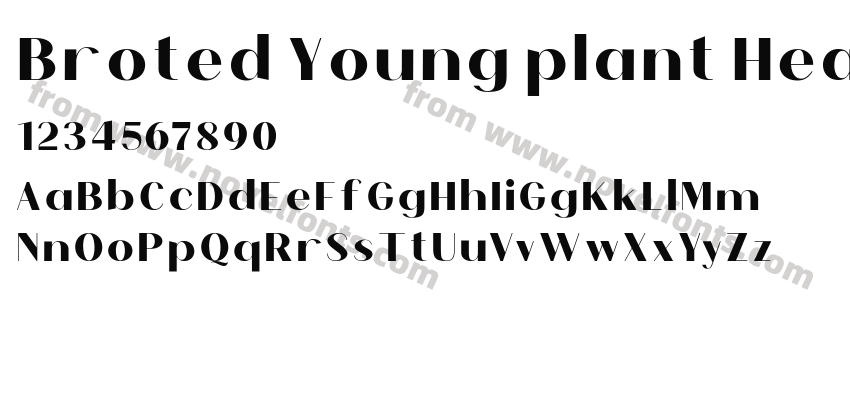 Broted Young plant HeavyPreview