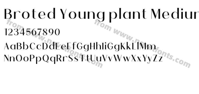 Broted Young plant MediumPreview
