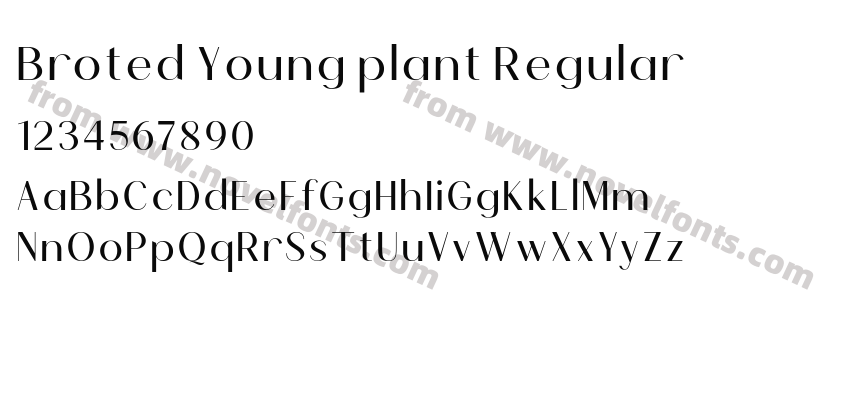 Broted Young plant RegularPreview