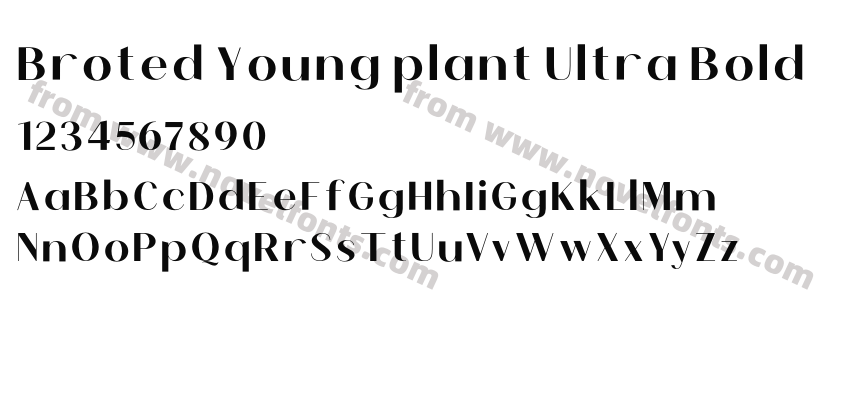 Broted Young plant Ultra BoldPreview