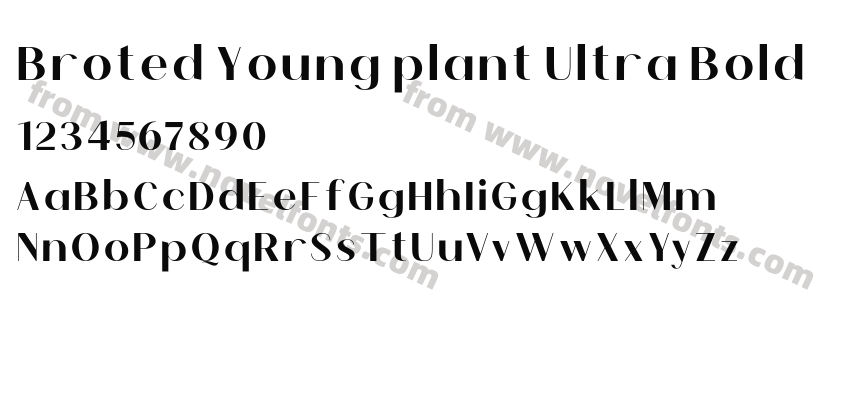 Broted Young plant Ultra BoldPreview