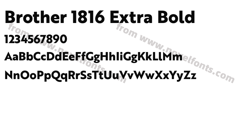 Brother 1816 Extra BoldPreview