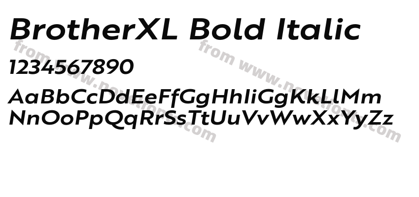 BrotherXL Bold ItalicPreview