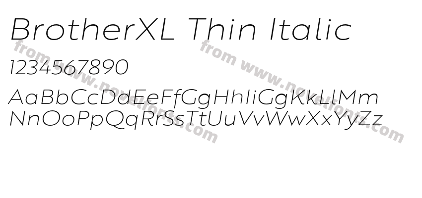 BrotherXL Thin ItalicPreview