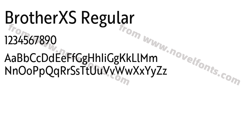 BrotherXS RegularPreview