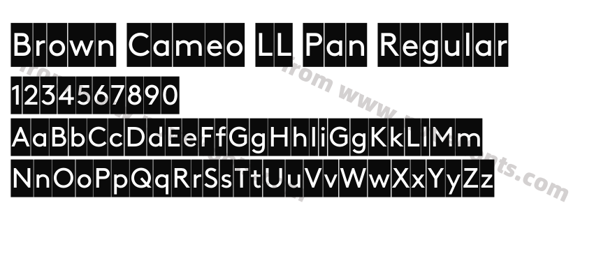 Brown Cameo LL Pan RegularPreview