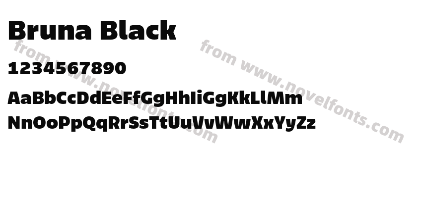 Bruna BlackPreview