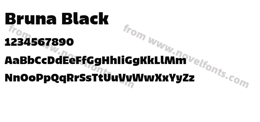 Bruna BlackPreview
