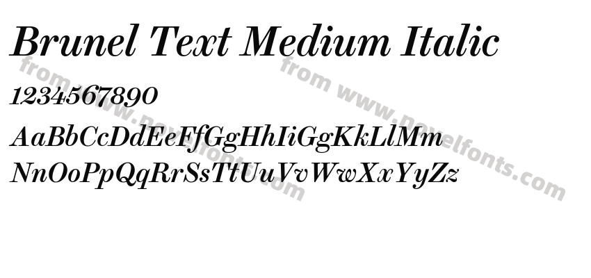 Brunel Text Medium ItalicPreview