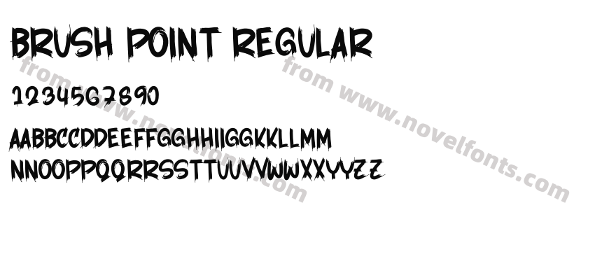 Brush Point RegularPreview