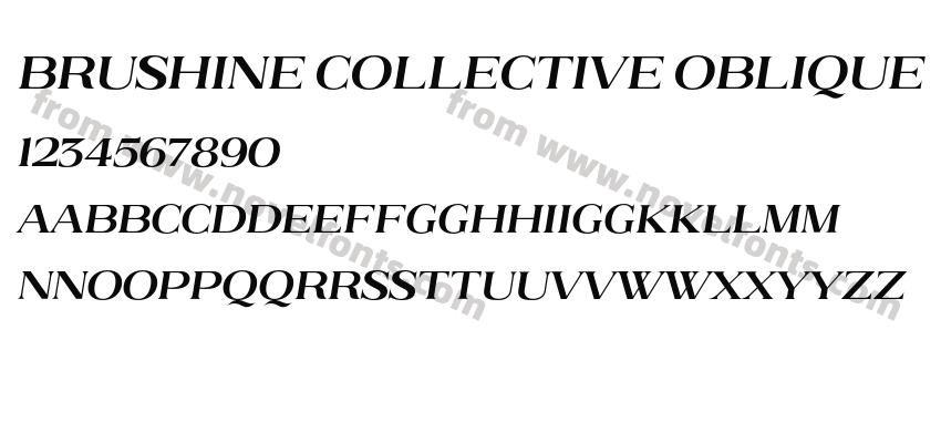 Brushine Collective ObliquePreview