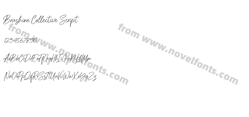 Brushine Collective ScriptPreview