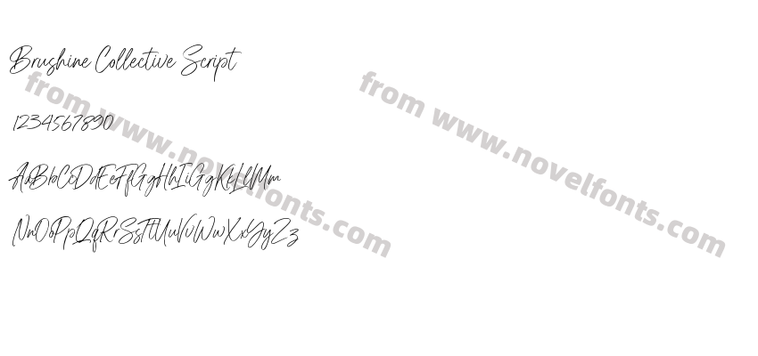 Brushine Collective ScriptPreview