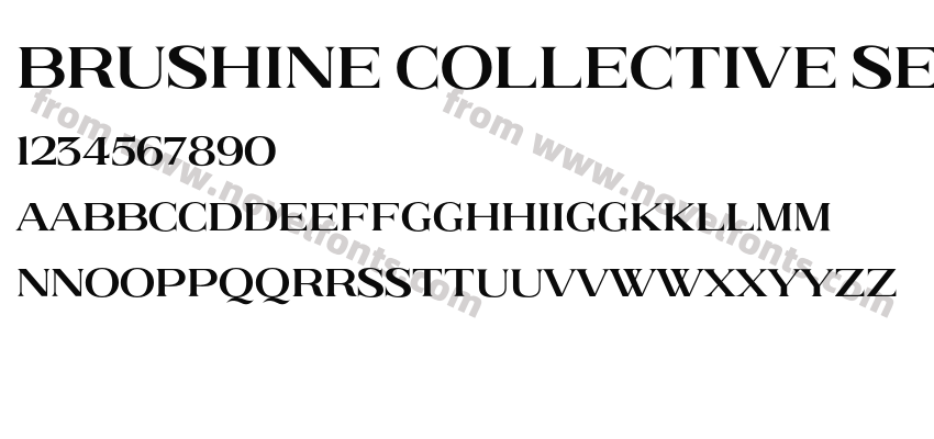 Brushine Collective SerifPreview