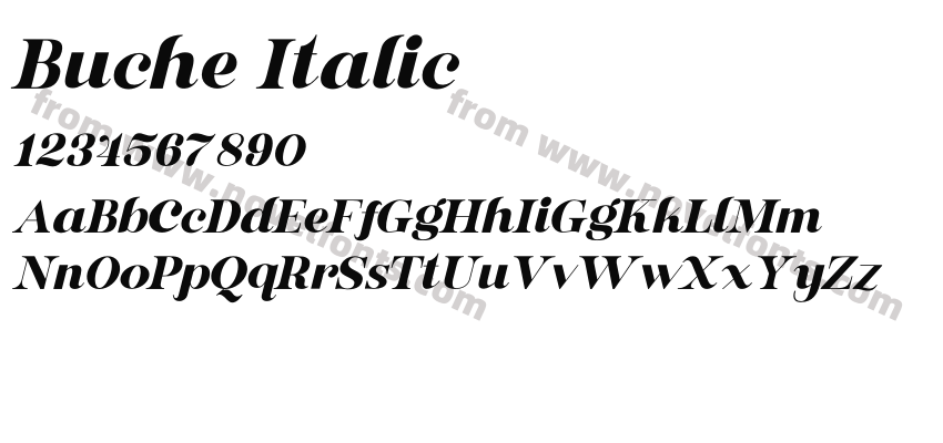 Buche ItalicPreview