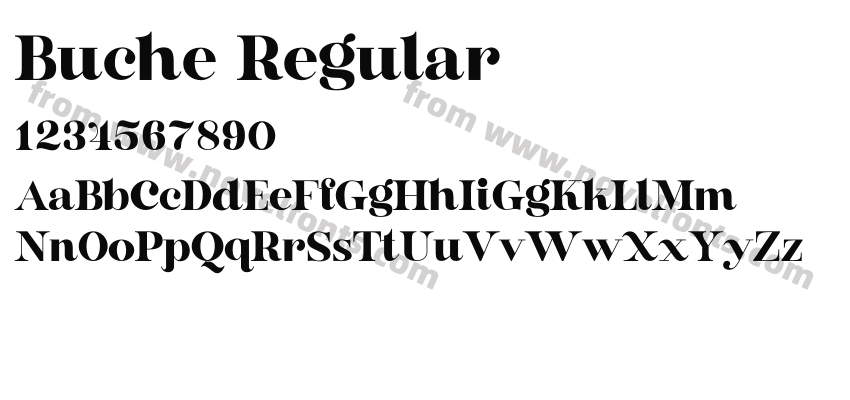 Buche RegularPreview