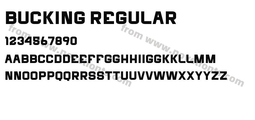 Bucking RegularPreview