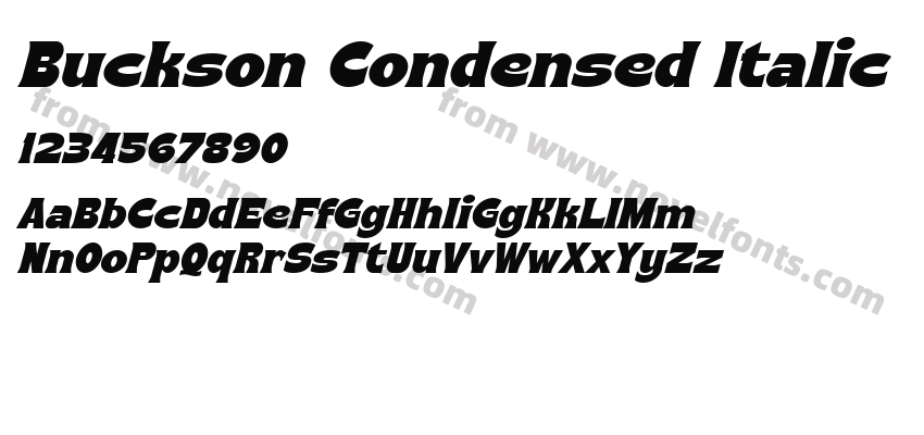 Buckson Condensed ItalicPreview