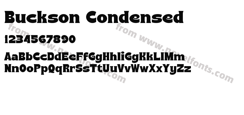 Buckson CondensedPreview
