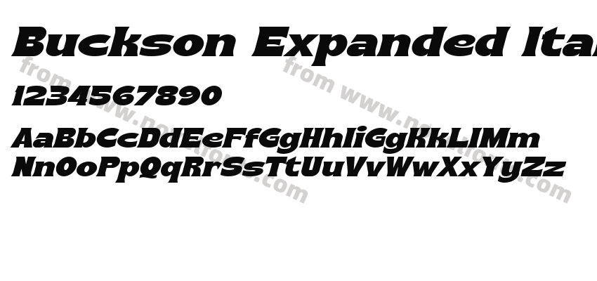 Buckson Expanded ItalicPreview