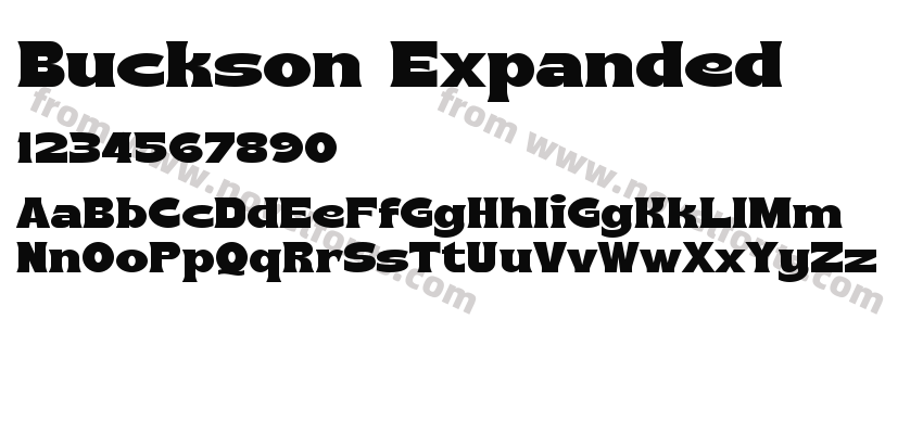 Buckson ExpandedPreview