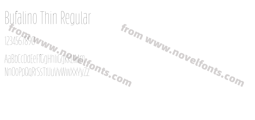 Bufalino Thin RegularPreview