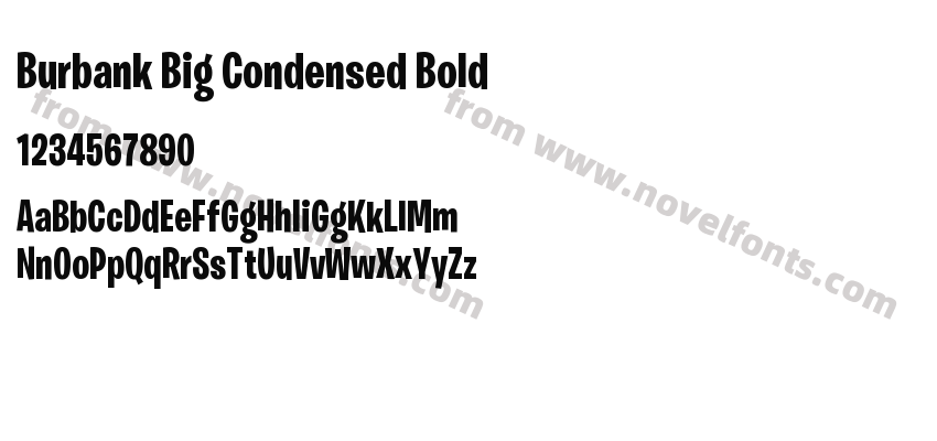 Burbank Big Condensed BoldPreview