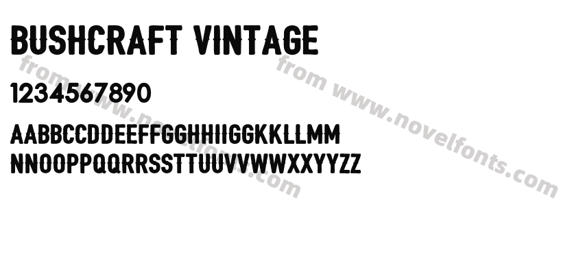 Bushcraft vintagePreview