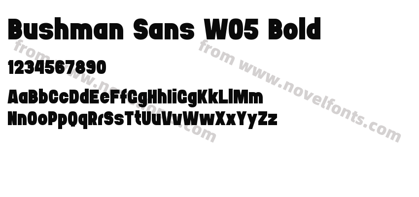 Bushman Sans W05 BoldPreview