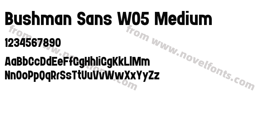Bushman Sans W05 MediumPreview