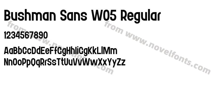 Bushman Sans W05 RegularPreview