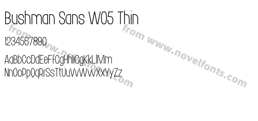 Bushman Sans W05 ThinPreview