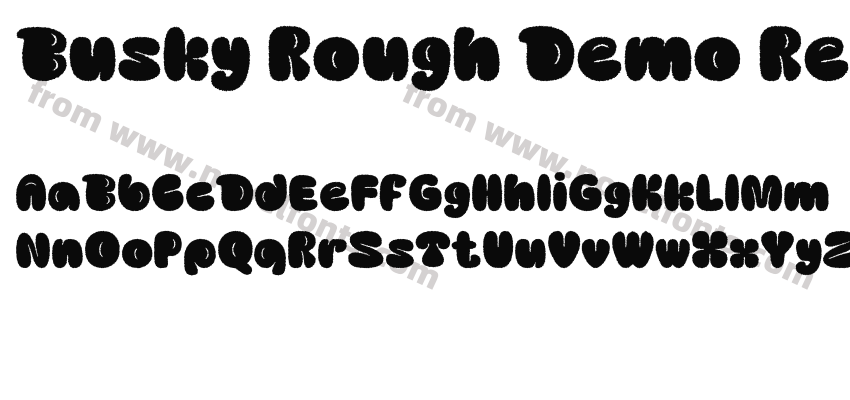 Busky Rough Demo RegularPreview