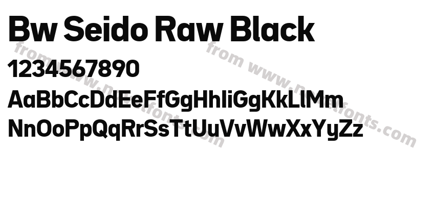 Bw Seido Raw BlackPreview