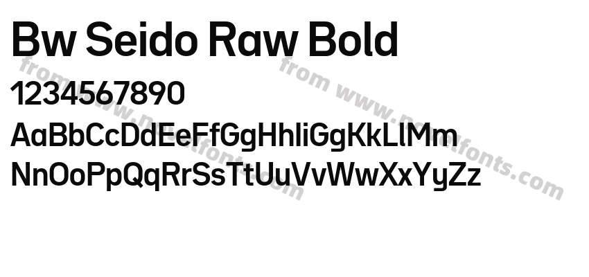 Bw Seido Raw BoldPreview
