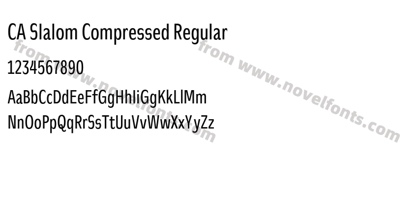 CA Slalom Compressed RegularPreview