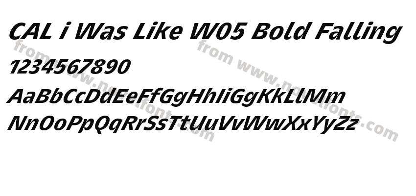 CAL i Was Like W05 Bold FallingPreview