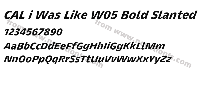 CAL i Was Like W05 Bold SlantedPreview