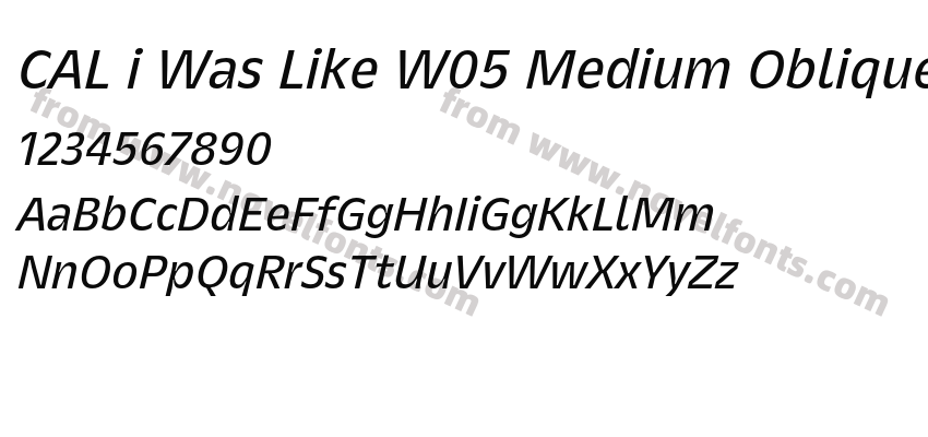 CAL i Was Like W05 Medium ObliquePreview