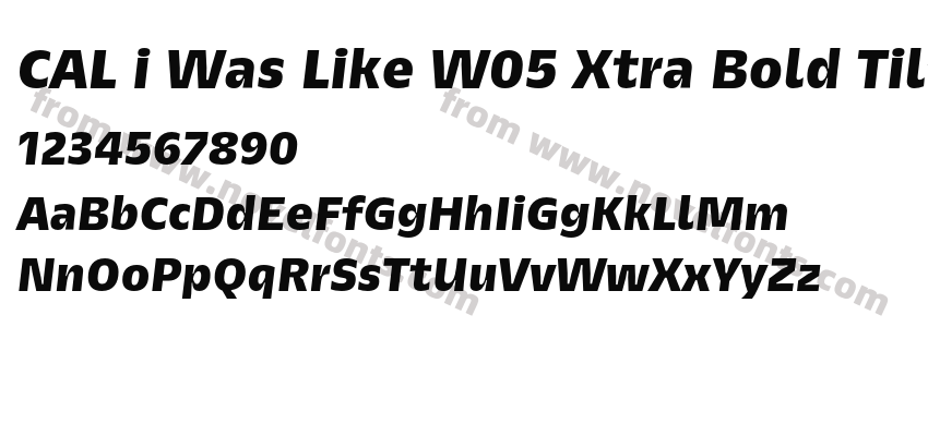CAL i Was Like W05 Xtra Bold TiltPreview