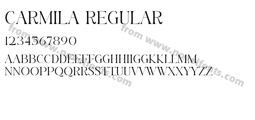 CARMILA RegularPreview